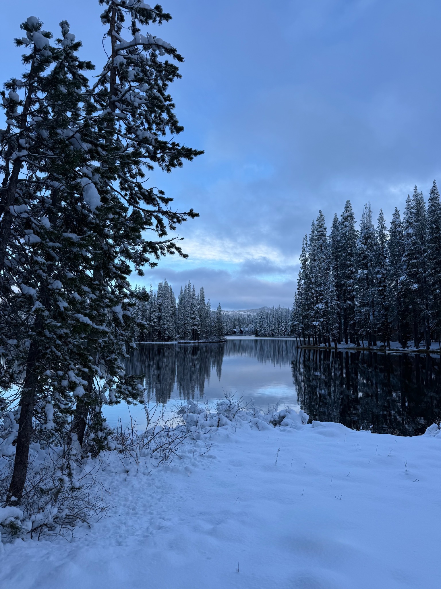 Snowy lake and trees